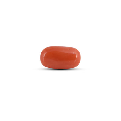 Red Coral - 3.6 Carat