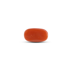 Red Coral - 3.6 Carat