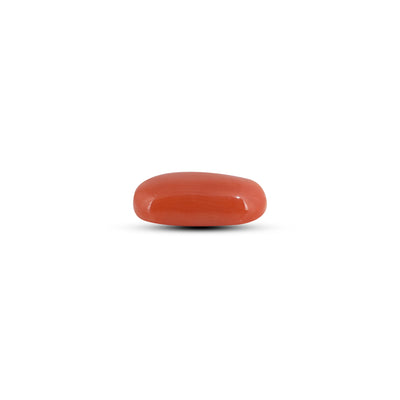 Red Coral - 3.6 Carat