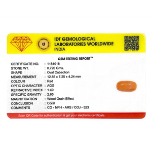 Red Coral - 3.6 Carat