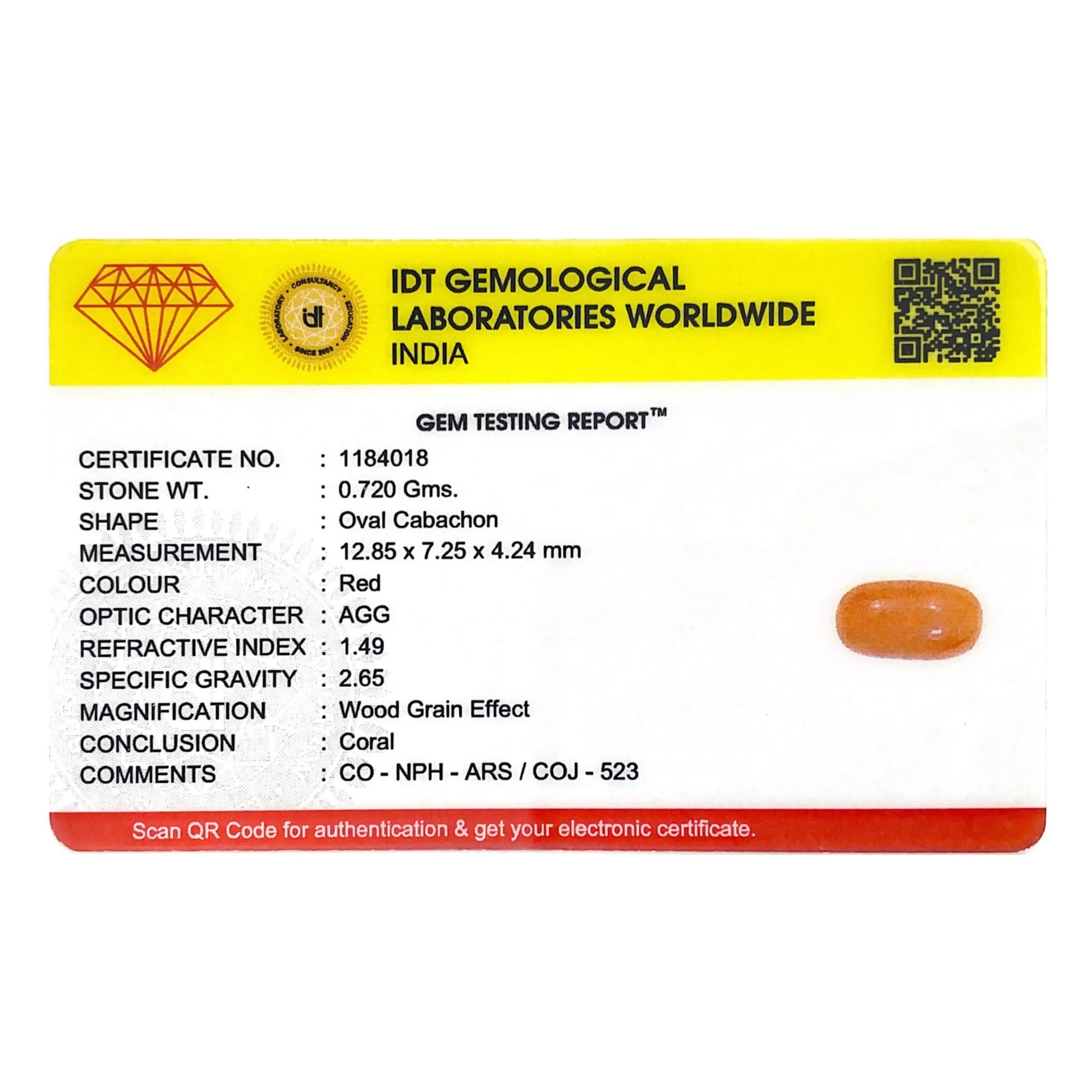 Red Coral - 3.6 Carat