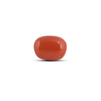 Red Coral - 3.9 Carat