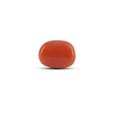 Red Coral - 3.9 Carat