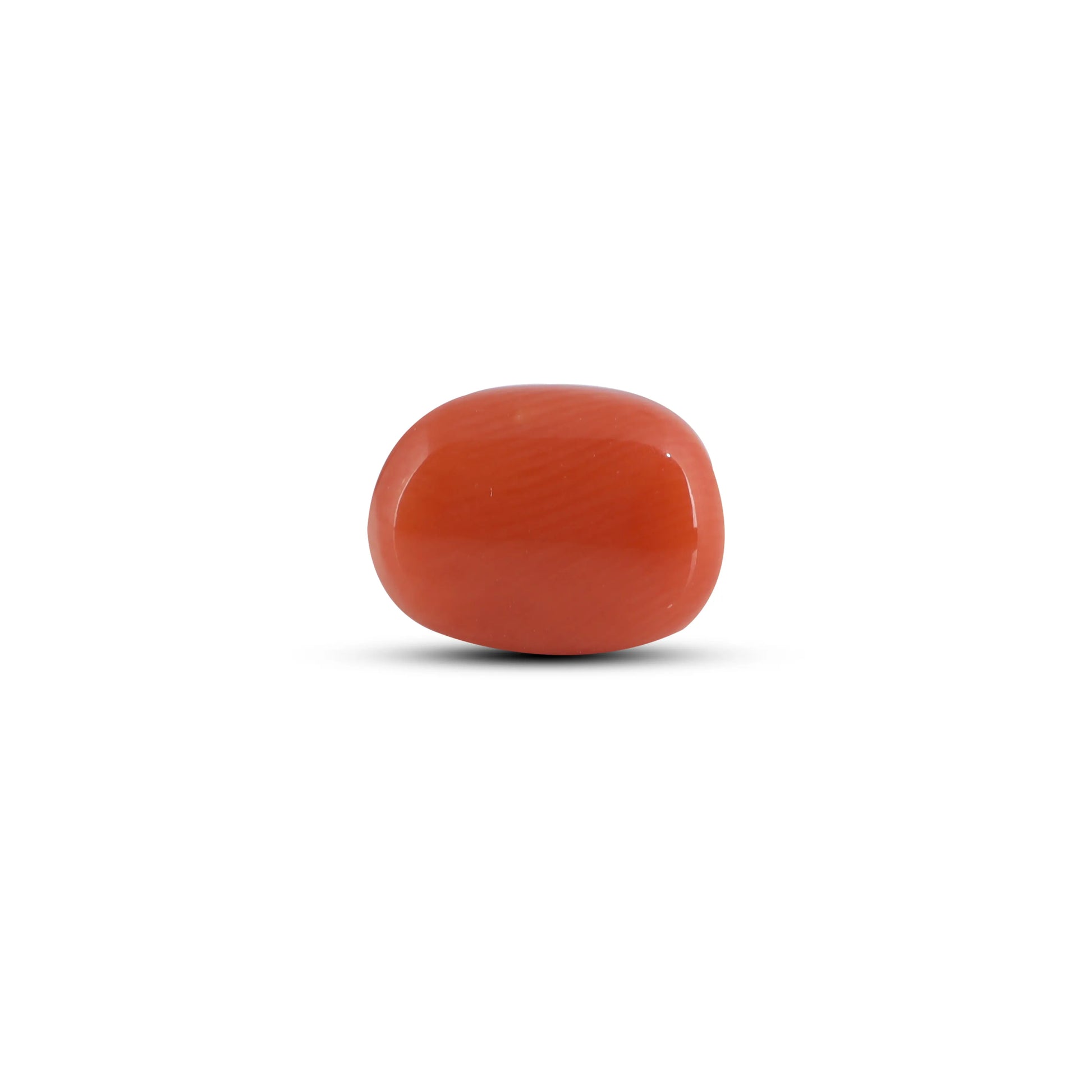 Red Coral - 3.9 Carat