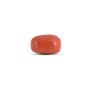 Red Coral - 3.9 Carat