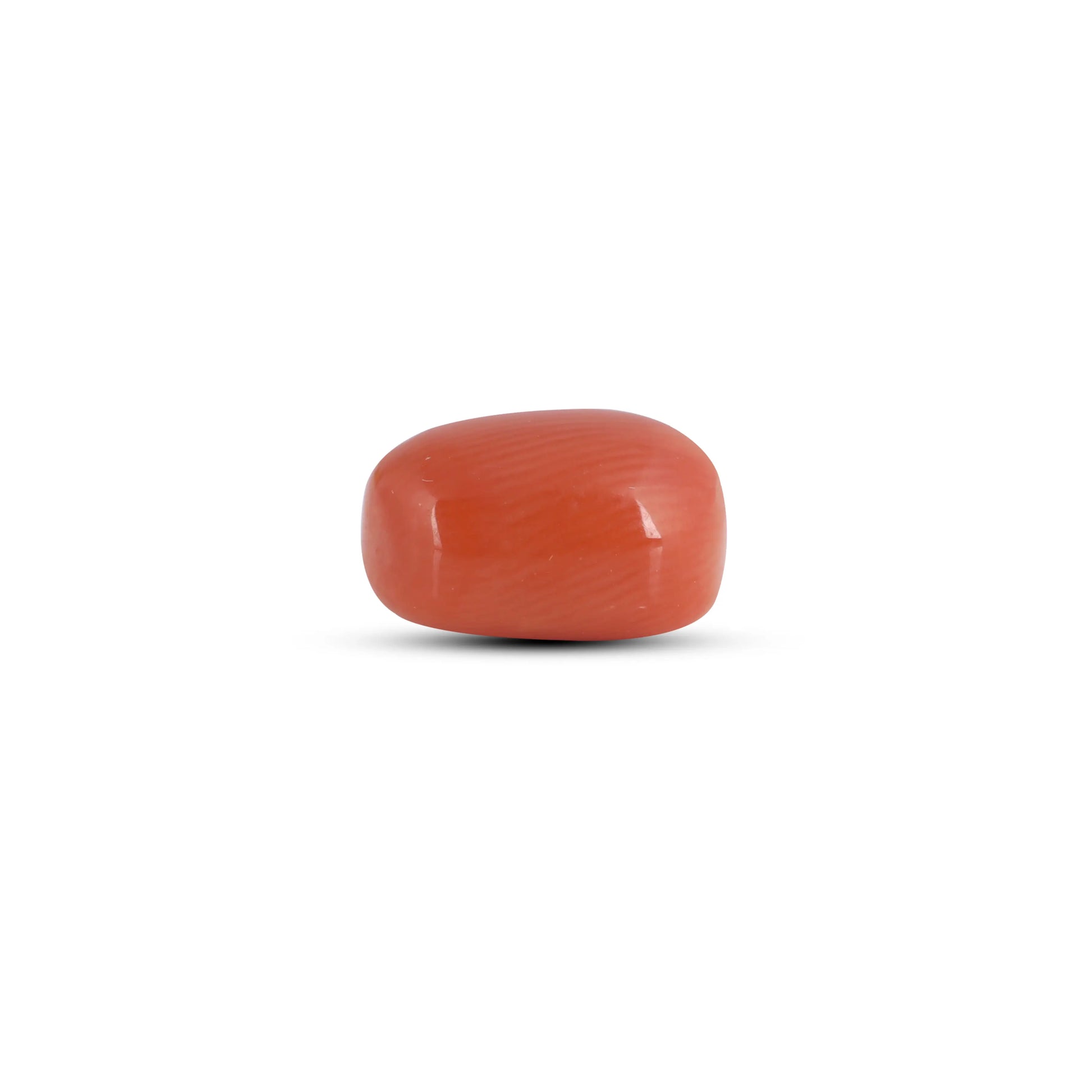 Red Coral - 3.9 Carat