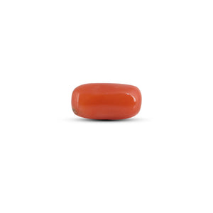 Red Coral - 3.6 Carat