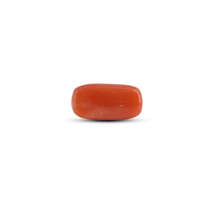 Red Coral - 3.6 Carat