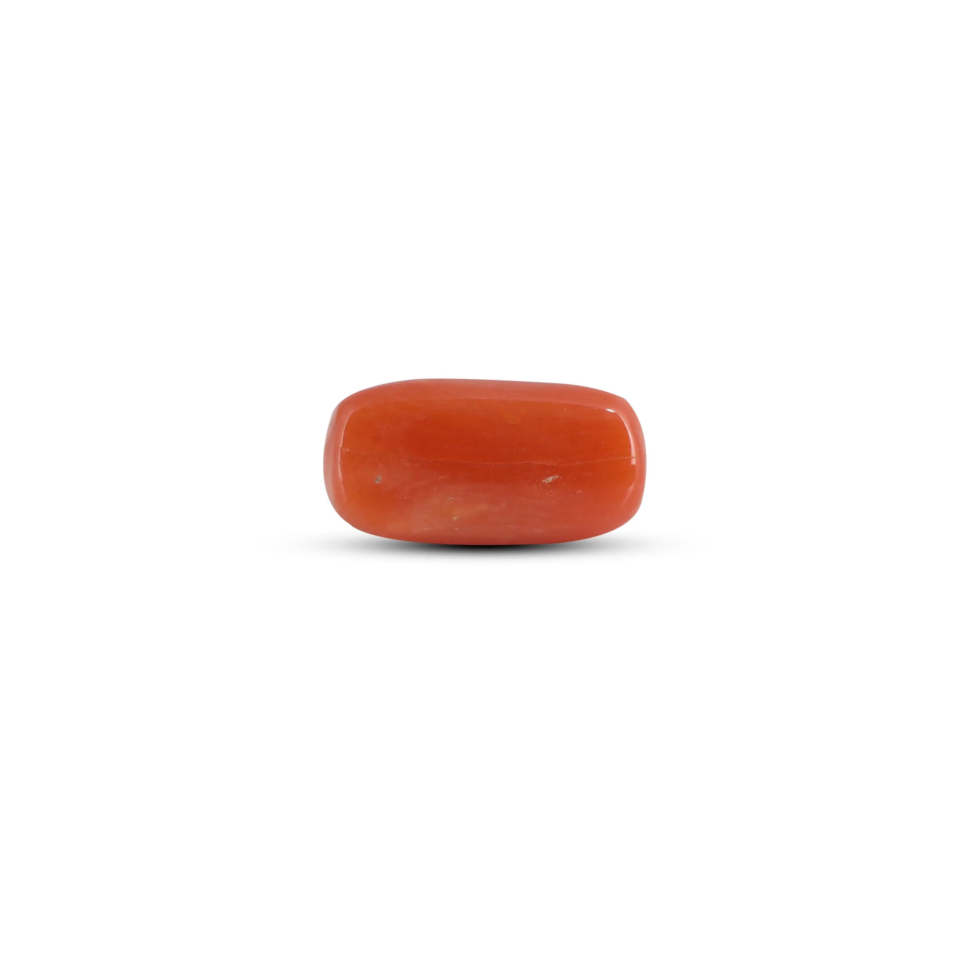 Red Coral - 3.6 Carat