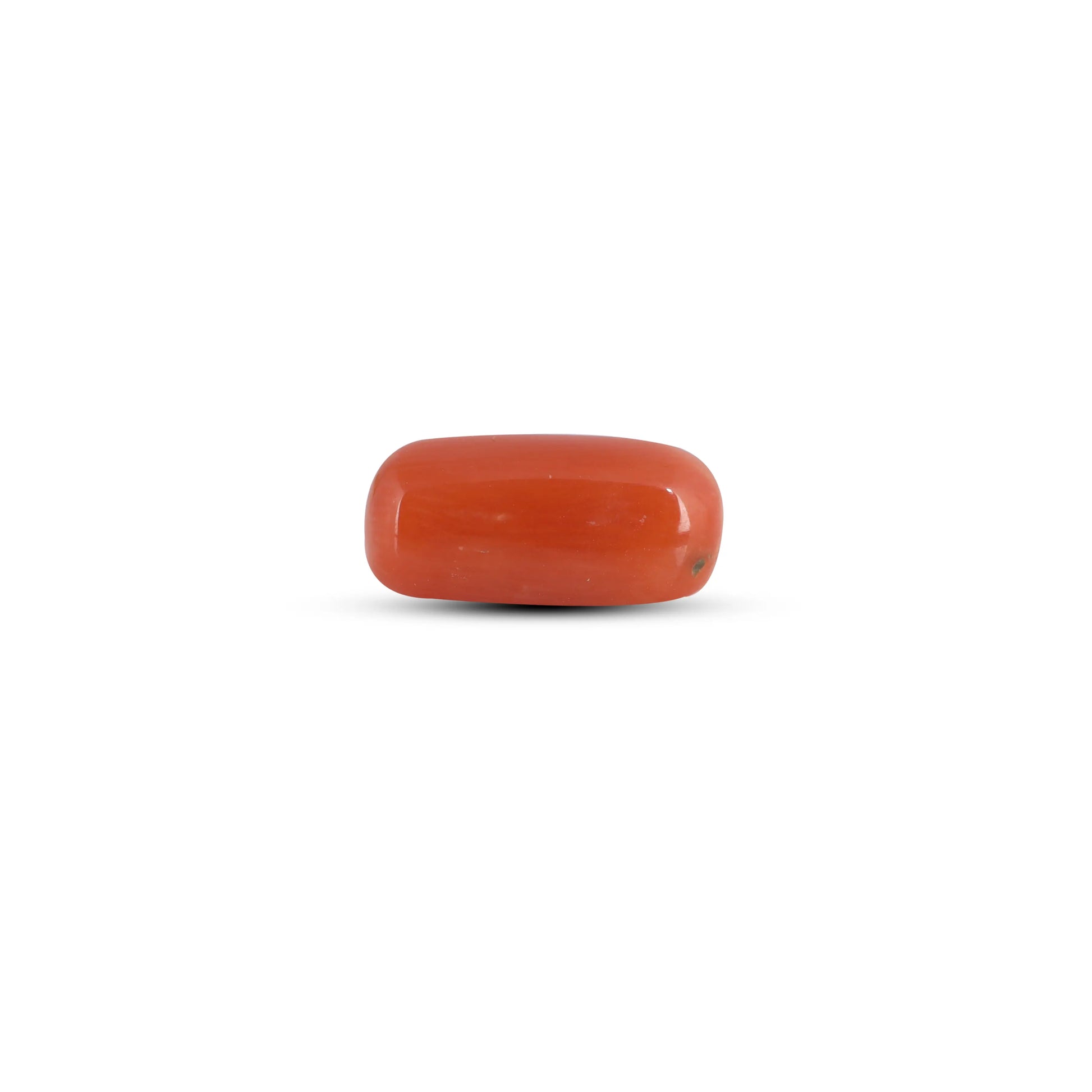 Red Coral - 3.6 Carat