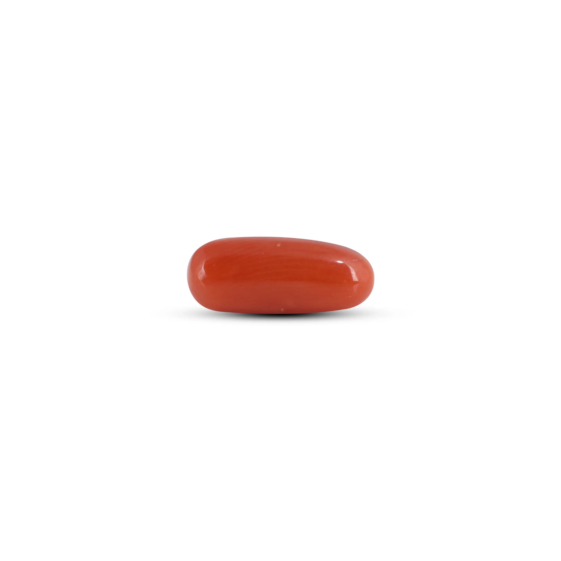 Red Coral - 3 Carat