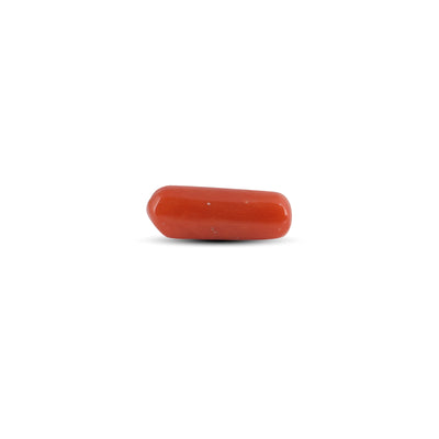 Red Coral - 3.65 Carat