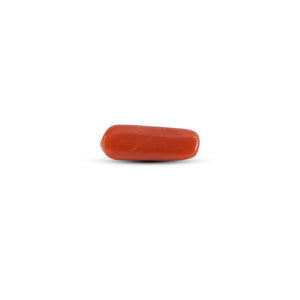 Red Coral - 3.65 Carat