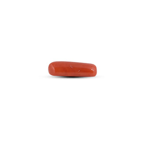 Red Coral - 3.65 Carat
