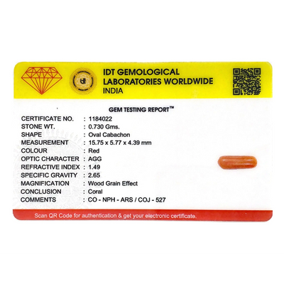 Red Coral - 3.65 Carat