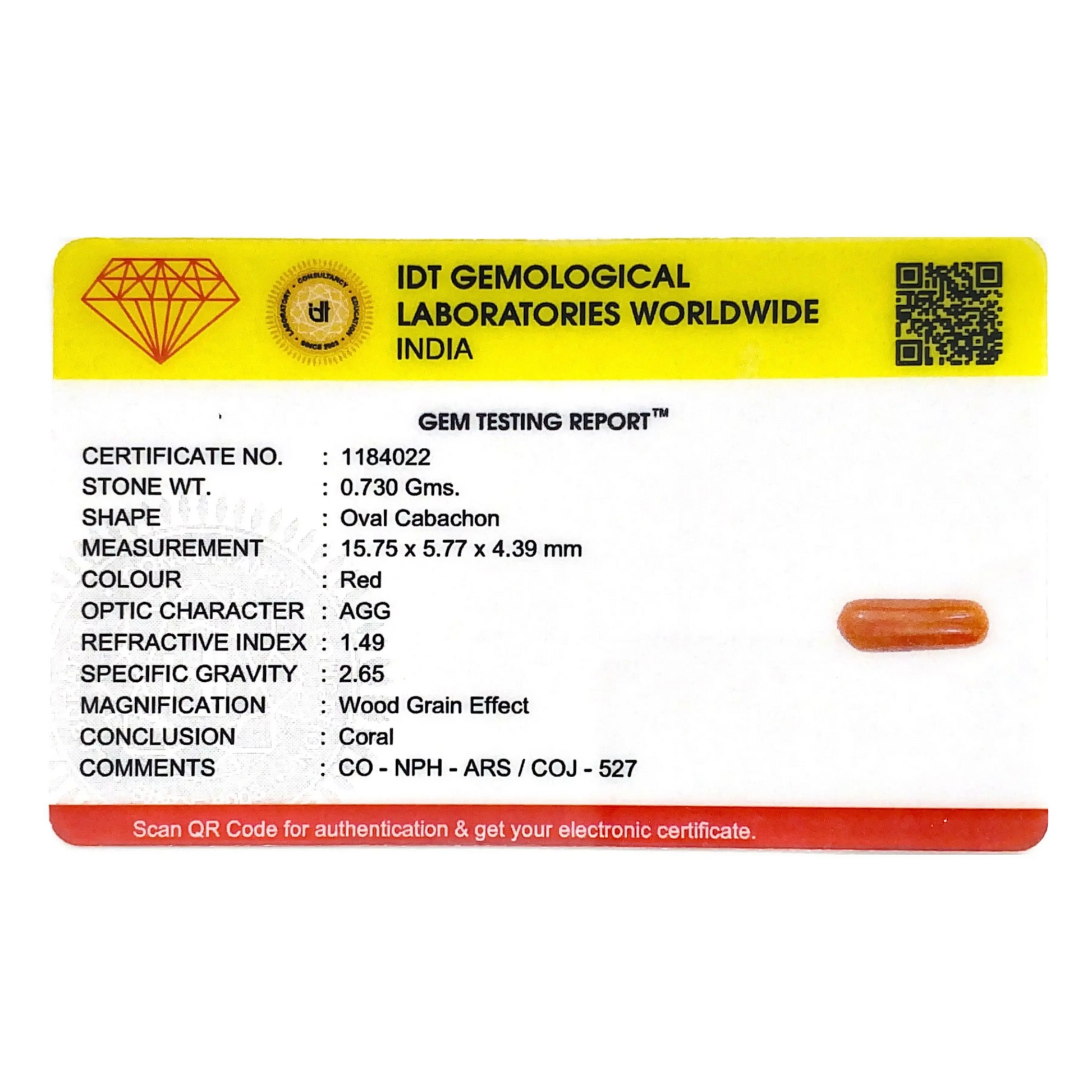 Red Coral - 3.65 Carat