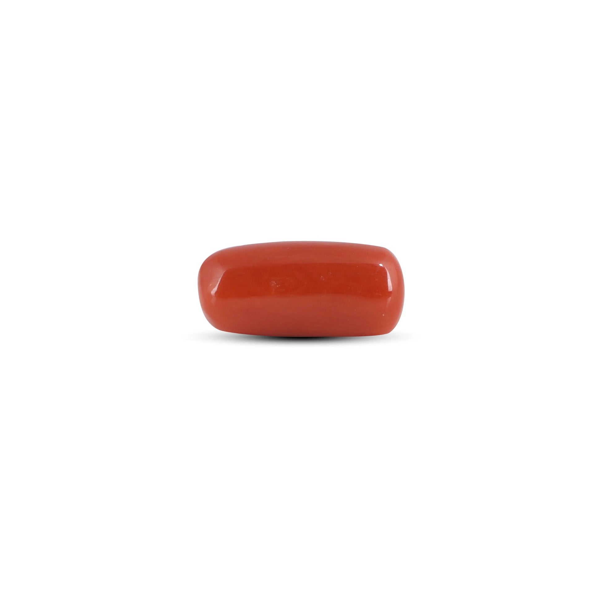 Red Coral - 3.9 Carat