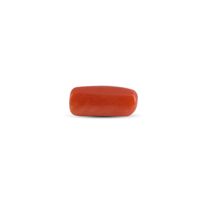 Red Coral - 3.9 Carat
