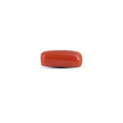 Red Coral - 3.9 Carat