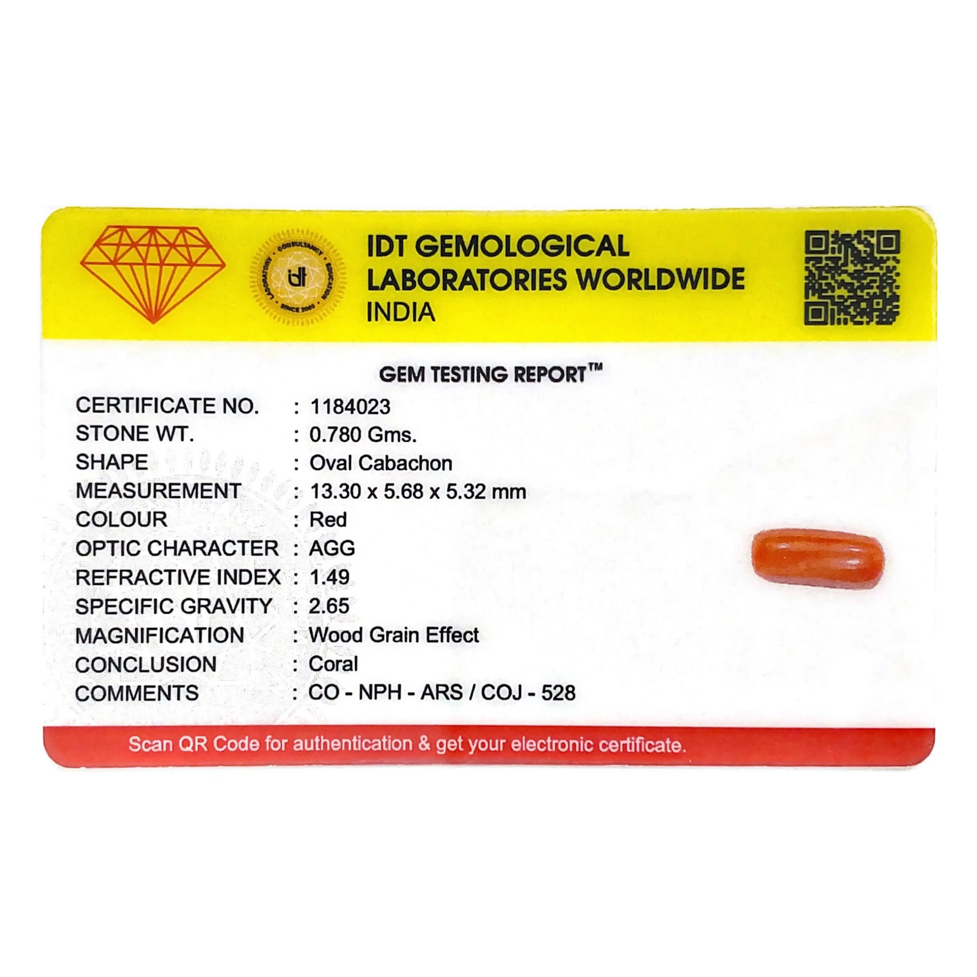 Red Coral - 3.9 Carat