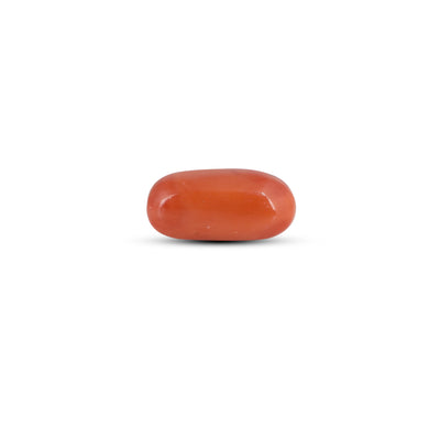 Red Coral - 3.9 Carat