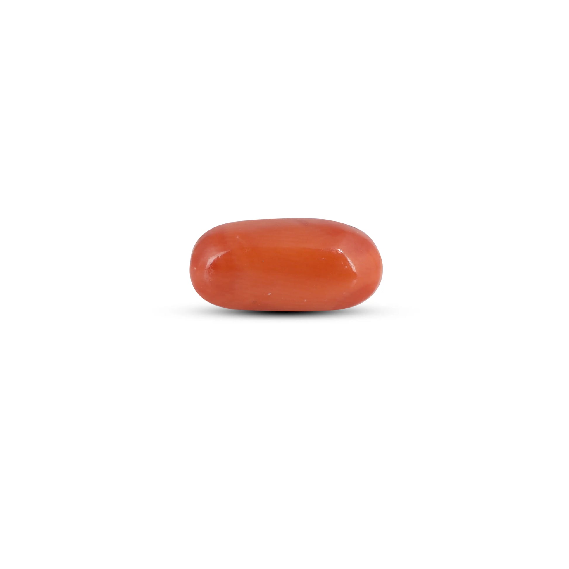 Red Coral - 3.9 Carat