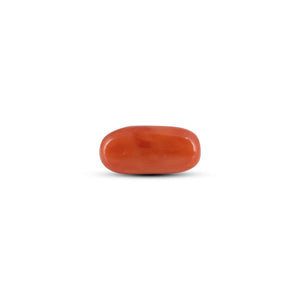 Red Coral - 3.9 Carat