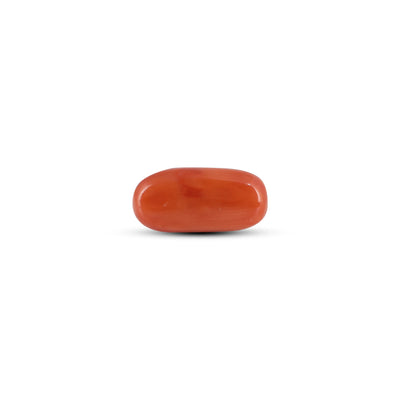 Red Coral - 3.9 Carat
