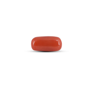 Red Coral - 3 Carat