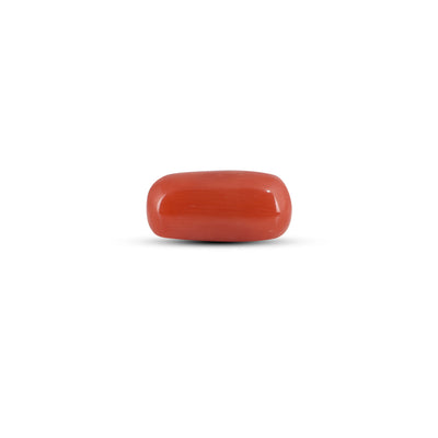 Red Coral - 3 Carat