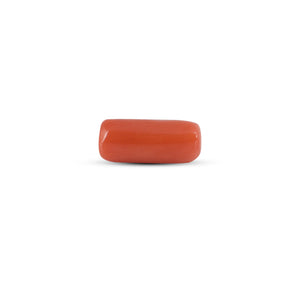 Red Coral - 3.7 Carat
