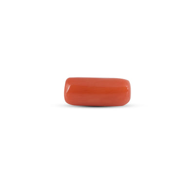 Red Coral - 3.7 Carat