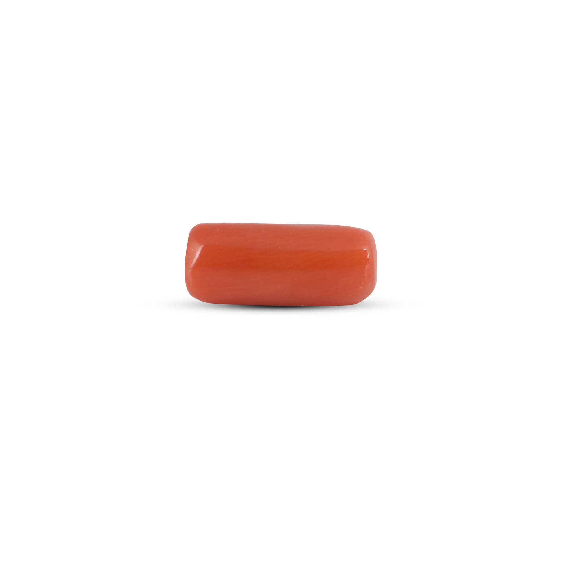 Red Coral - 3.7 Carat