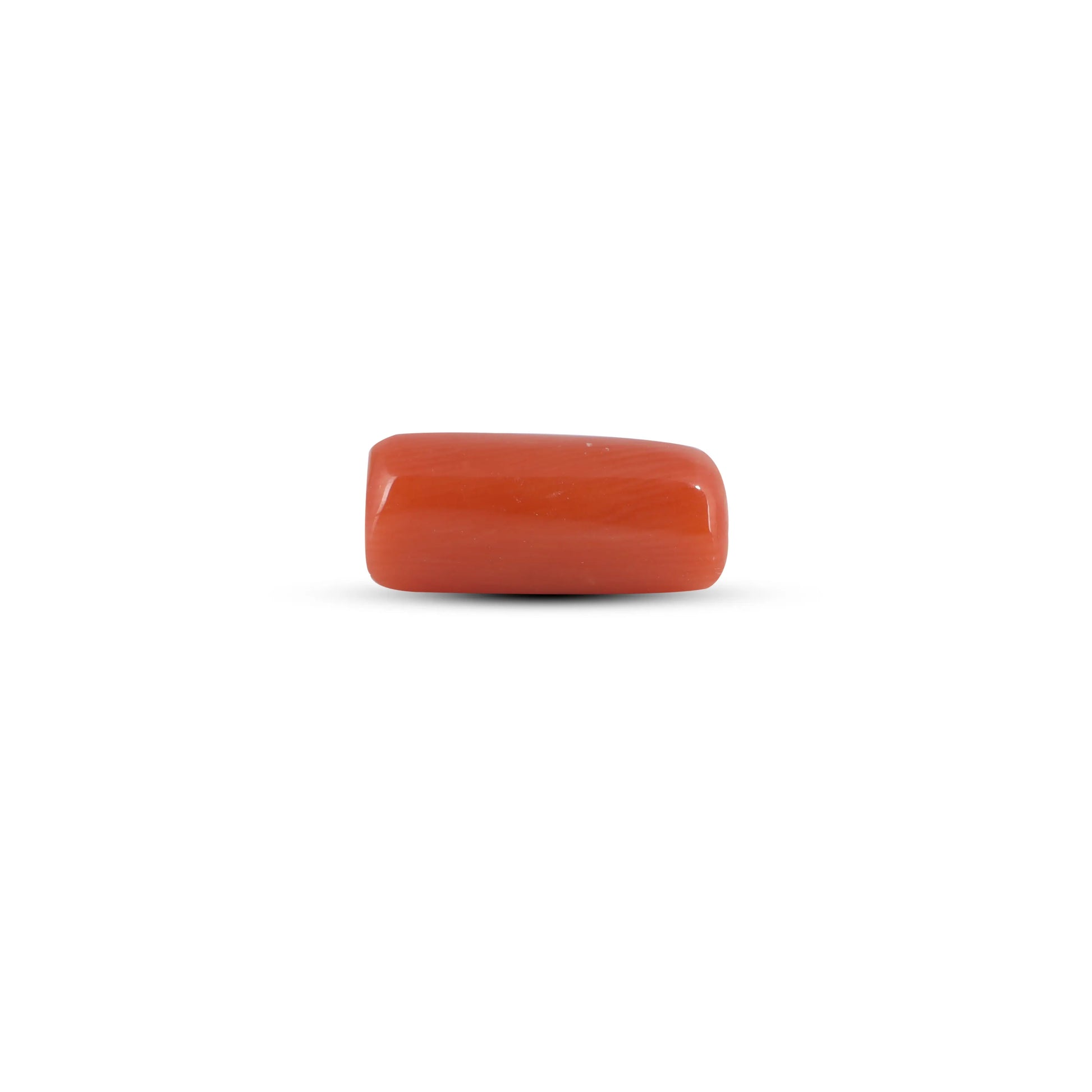 Red Coral - 3.7 Carat
