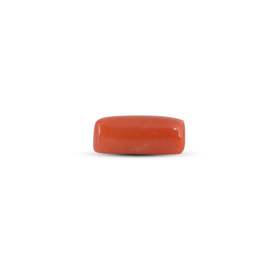 Red Coral - 3.7 Carat