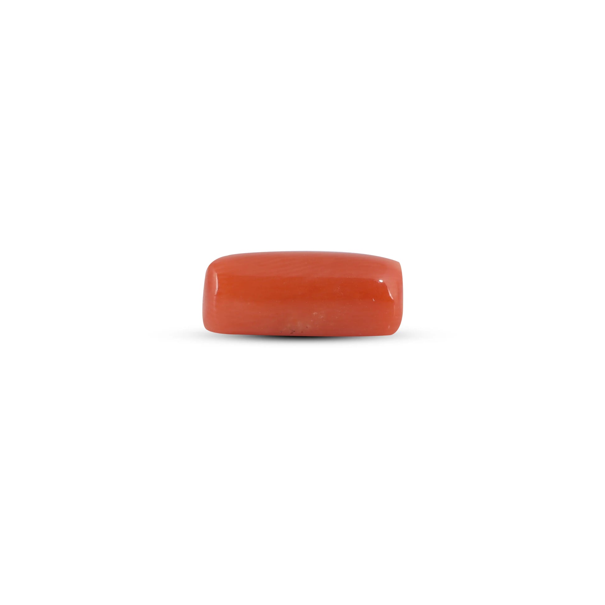 Red Coral - 3.7 Carat