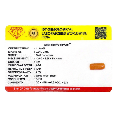 Red Coral - 3.7 Carat