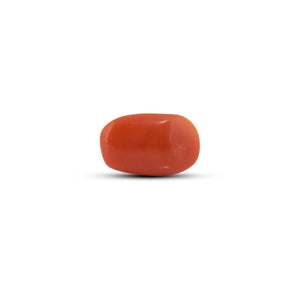 Red Coral - 3 Carat