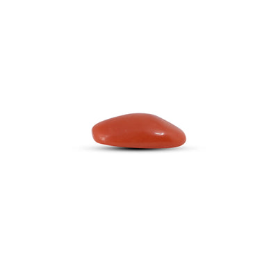 Red Coral - 3 Carat