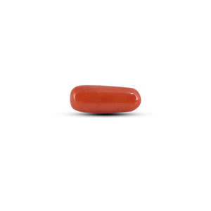 Red Coral - 3.65 Carat