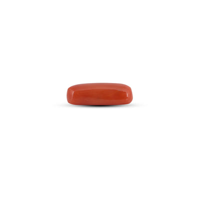 Red Coral - 3.65 Carat
