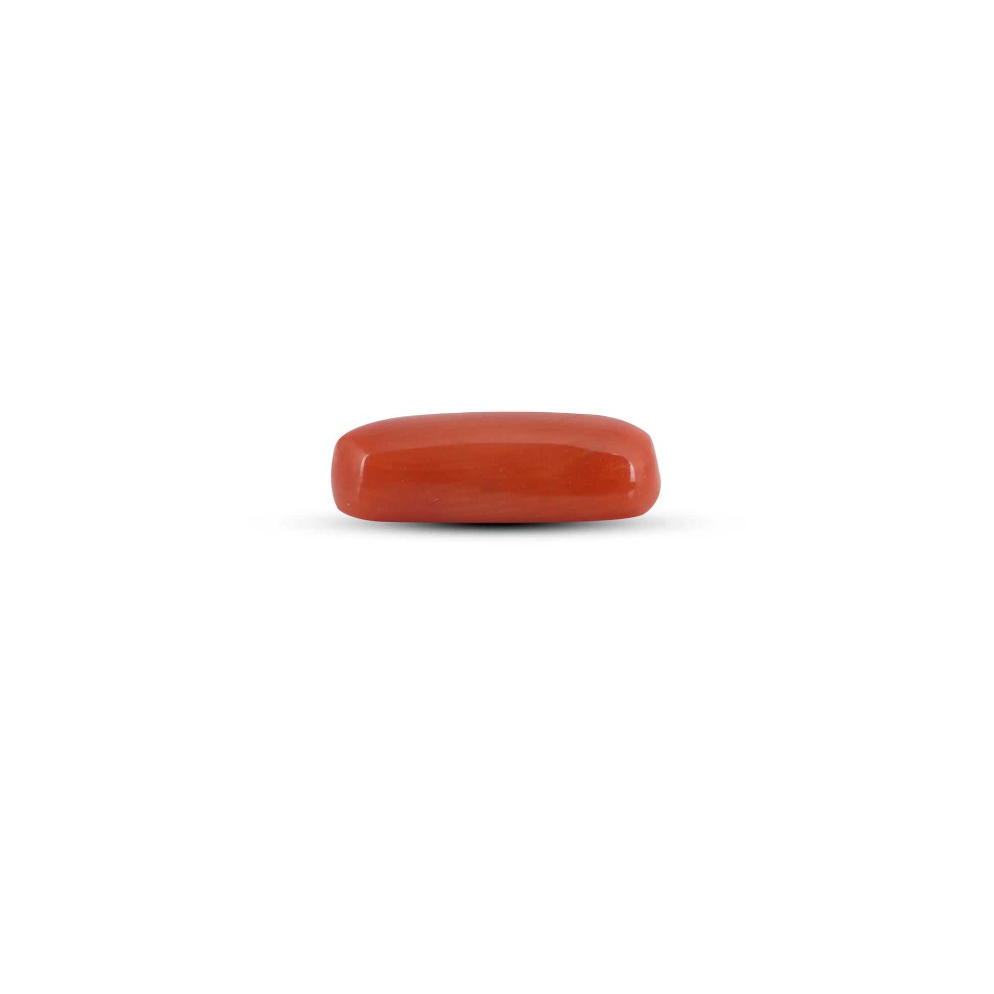 Red Coral - 3.65 Carat