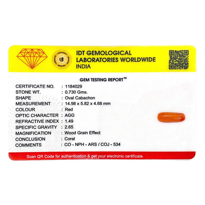 Red Coral - 3.65 Carat