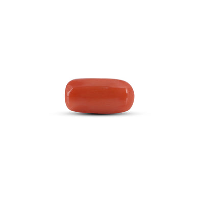 Red Coral - 4 Carat