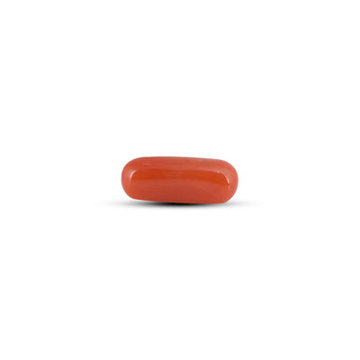 Red Coral - 2.55 Carat