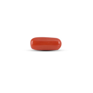 Red Coral - 4.05 Carat