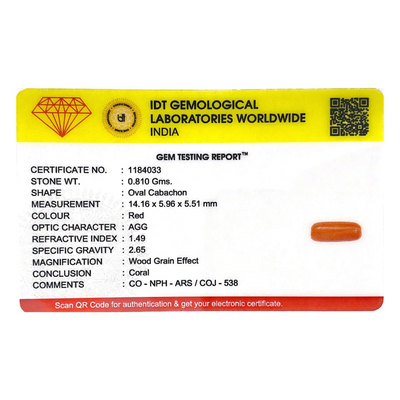 Red Coral - 4.05 Carat