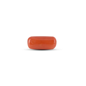 Red Coral - 3.8 Carat