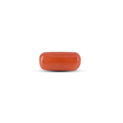 Red Coral - 3.8 Carat