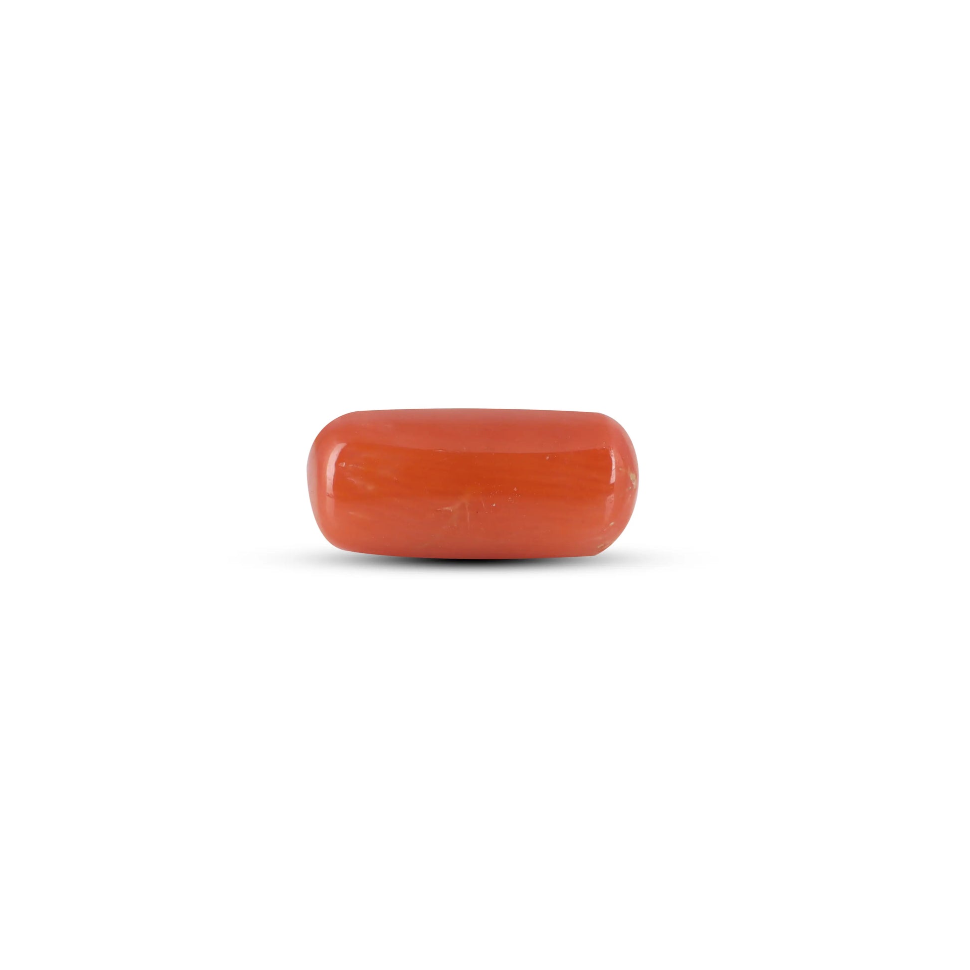 Red Coral - 3.8 Carat